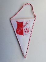 /album/ternitz-pottschach/sv-sf-pottschach-14-a-jpg/